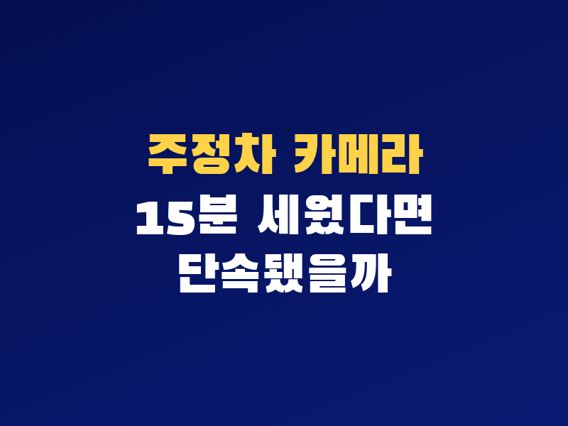 주정차 무인카메라 15분 세웠다면 단속됐을까? 과태료 조회 전 봐야 할 기준